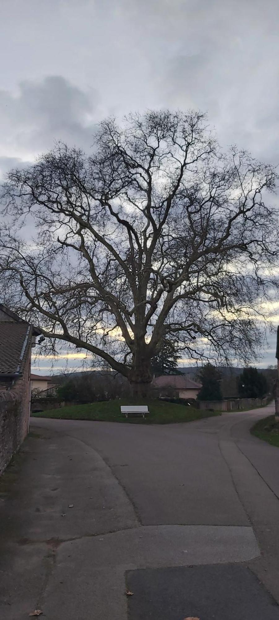 Le Gite Et Puits C'Est Tout Préty Camera foto